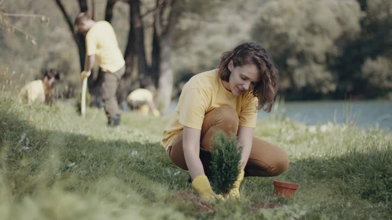 Best Lawn Fertilization  in Palmer, AK